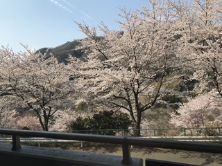 image1.jpeg